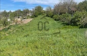 Eladó Pátyi külterületi telek hirdetés (22883329)