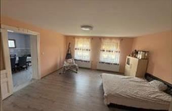 Eladó Eleki családi ház hirdetés (26944933)