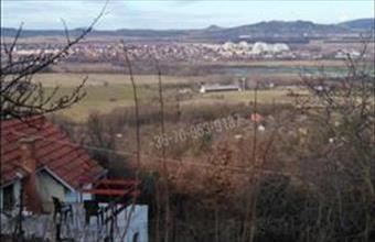 Eladó Tapolcai egyéb mezőgazdasági ingatlan hirdetés (33869293)