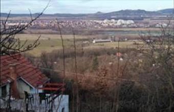 Eladó Tapolcai egyéb mezőgazdasági ingatlan hirdetés (33869293)