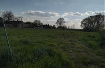 Eladó Nagyalásonyi egyéb telek hirdetés (34536534)