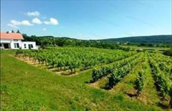 Eladó Felsőörsi hétvégi ház hirdetés (54293986)