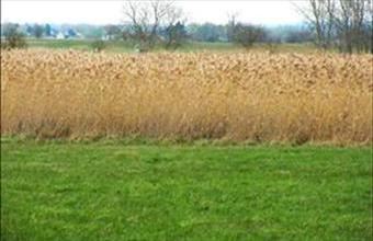 Eladó Balatonlellei egyéb mezőgazdasági ingatlan hirdetés (84535242)