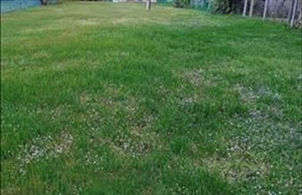 Eladó Balatonszárszói lakóövezeti telek hirdetés (85426253)