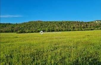 Eladó Kesztölci külterületi telek hirdetés (48374369)