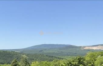 Eladó Bajóti külterületi telek hirdetés (82524351)