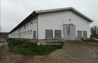 Eladó Mezőhegyesi egyéb mezőgazdasági ingatlan hirdetés (72492944)