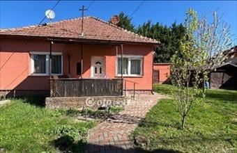 Eladó Budakalászi családi ház hirdetés (37451384)