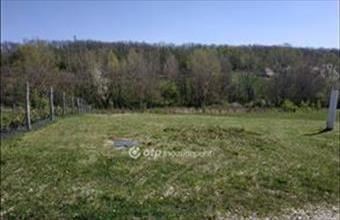 Eladó Eplényi lakóövezeti telek hirdetés (83393278)