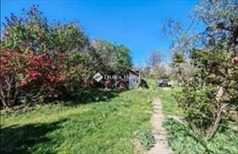 Eladó Úri családi ház hirdetés (63747324)