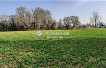 Eladó Dömsödi üdülőövezeti telek hirdetés (42697933)