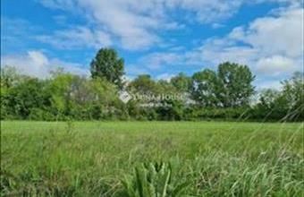 Eladó Pomázi lakóövezeti telek hirdetés (33644678)