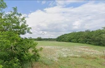 Eladó Délegyházai külterületi telek hirdetés (97919839)