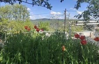 Eladó Budapest II. kerületi tégla lakás hirdetés (41912984)