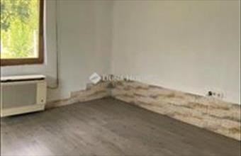 Eladó Tassi családi ház hirdetés (54997432)