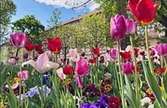 Eladó Budapest VIII. kerületi egyéb lakás hirdetés (23531321)