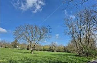 Eladó Alsópáhoki külterületi telek hirdetés (63531355)