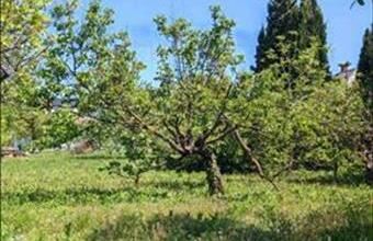 Eladó Vonyarcvashegyi lakóövezeti telek hirdetés (32332586)