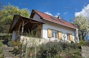 Eladó Pomázi családi ház hirdetés (45457234)