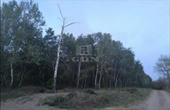 Eladó Kakucsi termőföld, szántó hirdetés (39787522)