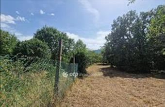 Eladó Pomázi lakóövezeti telek hirdetés (43683344)