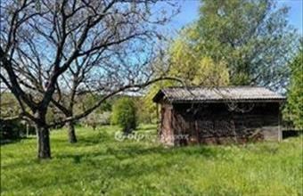 Eladó Pátyi külterületi telek hirdetés (84839644)