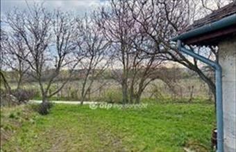 Eladó Etyeki külterületi telek hirdetés (69344344)