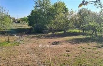 Eladó Dunaharaszti üdülőövezeti telek hirdetés (84189638)