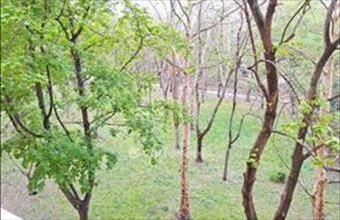 Eladó Budapest XIV. kerületi panel lakás hirdetés (49421545)