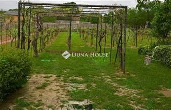 Eladó Hosszúhetényi egyéb telek hirdetés (53146733)