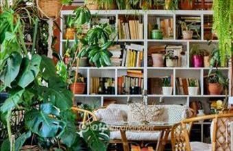 Eladó Óföldeáki családi ház hirdetés (59769994)