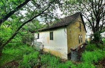 Eladó Kiskunfélegyházai tanya hirdetés (16763564)