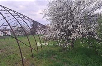 Eladó Nagybánhegyesi családi ház hirdetés (47346454)