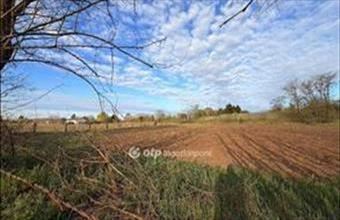 Eladó Nyíregyházai külterületi telek hirdetés (94338734)