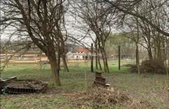 Eladó Őrbottyáni külterületi telek hirdetés (33459298)