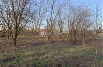 Eladó Őrbottyáni külterületi telek hirdetés (35694867)