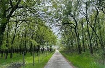 Eladó Bugyi fejlesztési lakóterület hirdetés (73527595)