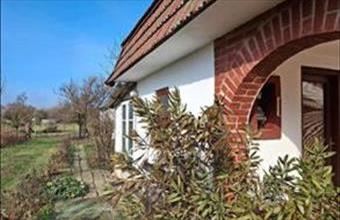 Eladó Gyulai tanya hirdetés (45367584)