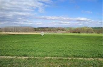 Eladó Tápszentmiklósi lakóövezeti telek hirdetés (67314933)