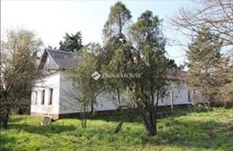 Eladó Felgyői tanya hirdetés (42945859)