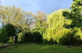 Eladó Tassi hétvégi ház hirdetés (26884573)