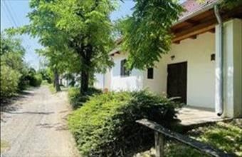 Eladó Sióagárdi tanya hirdetés (85176477)