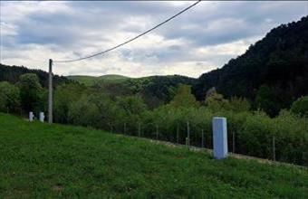 Eladó Pányoki egyéb telek hirdetés (52281567)