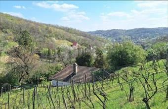 Eladó Szekszárdi tanya hirdetés (73924275)