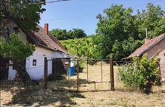 Eladó Szekszárdi egyéb mezőgazdasági ingatlan hirdetés (43839594)