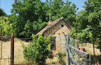 Eladó Szekszárdi egyéb mezőgazdasági ingatlan hirdetés (43839594)