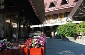 Eladó Debreceni egyéb vendéglátó ingatlan hirdetés (75399313)