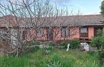 Eladó Mezőkovácsházai családi ház hirdetés (22762745)