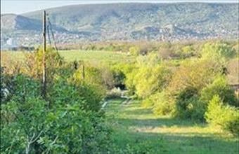 Eladó Törökbálinti üdülőövezeti telek hirdetés (26336822)