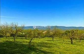 Eladó Váci lakóövezeti telek hirdetés (46437929)